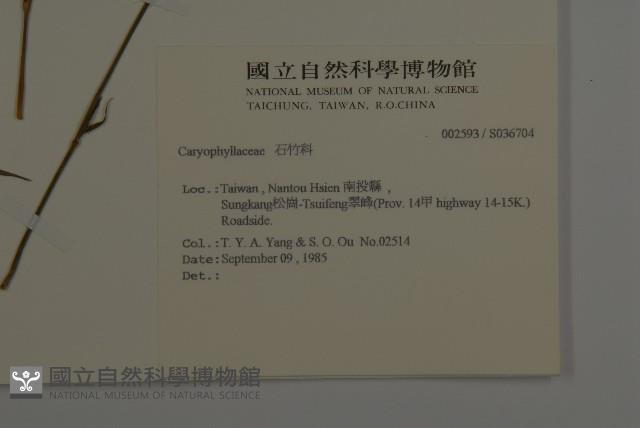 登錄號:S036704藏品圖，第2張