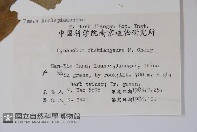 蔓剪草藏品圖，第2張