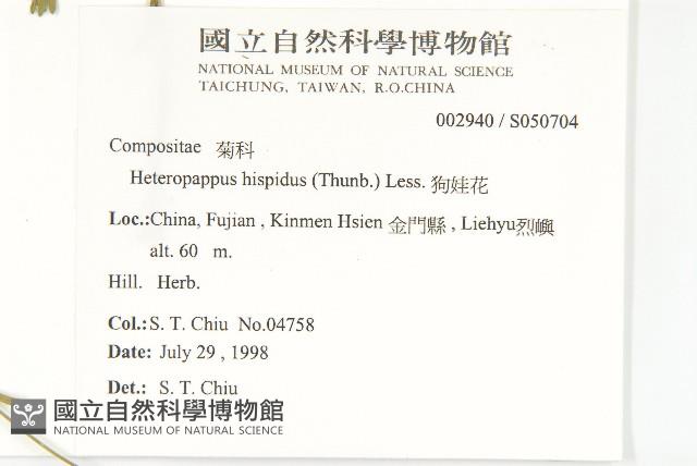 狗娃花藏品圖，第2張