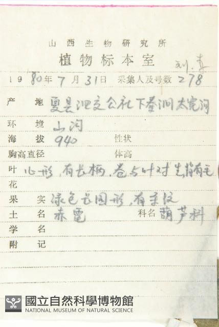 Accession Number:S035704 Collection Image, Figure 2, Total 3 Figures