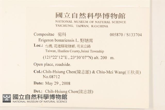 野塘蒿藏品圖，第2張