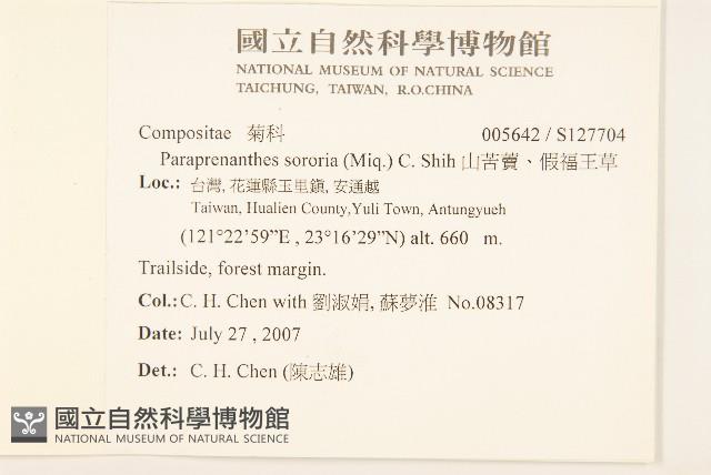 山苦藚、假福王草藏品圖，第2張