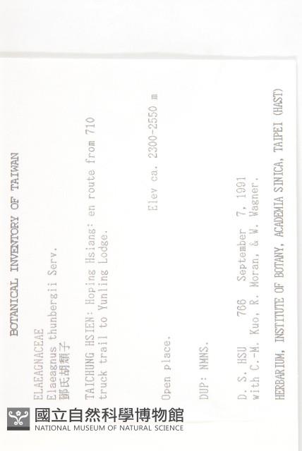 鄧氏胡頹子藏品圖，第2張