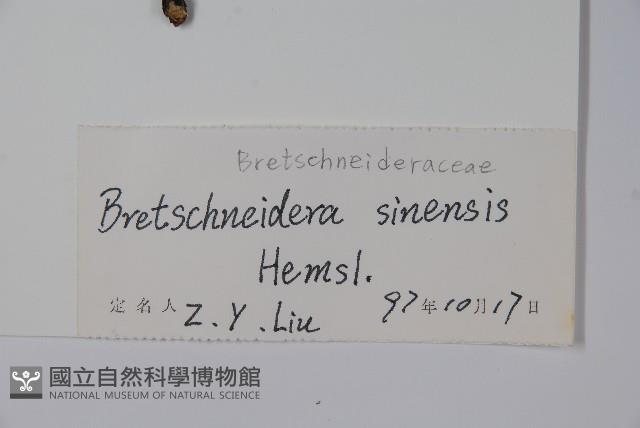 鐘萼木藏品圖，第2張