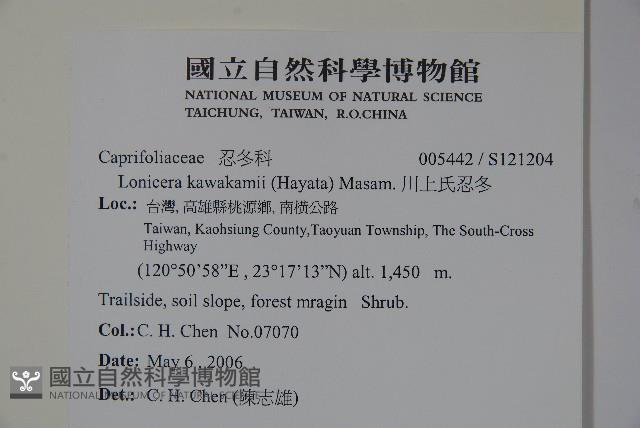 川上氏忍冬藏品圖，第2張