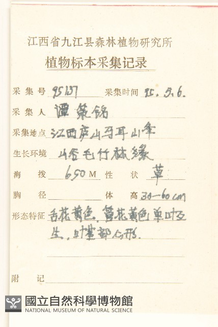 蒲兒根藏品圖，第2張