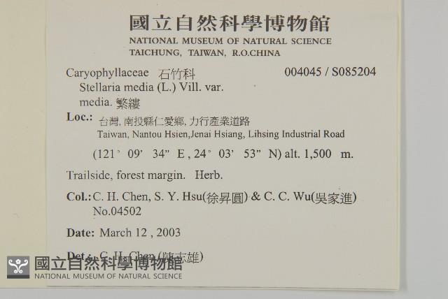 繁縷藏品圖，第2張