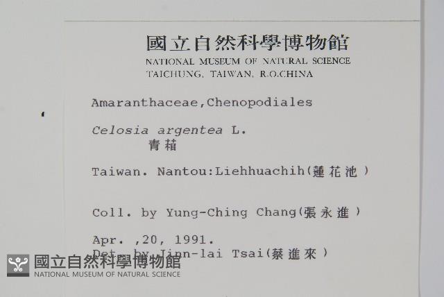 青葙藏品圖，第2張