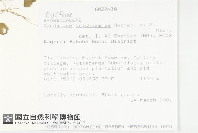 登錄號:S094204藏品圖，第2張