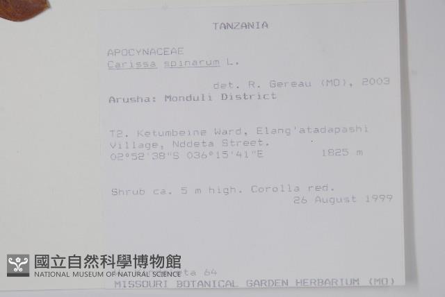 登錄號:S093204藏品圖，第2張