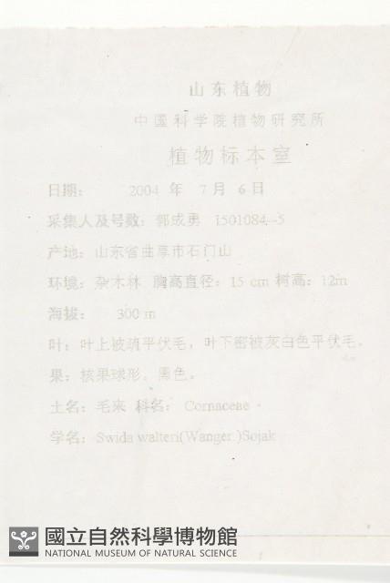 毛來藏品圖，第2張