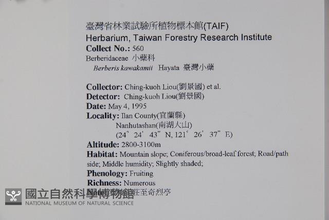 臺灣小蘗藏品圖，第2張