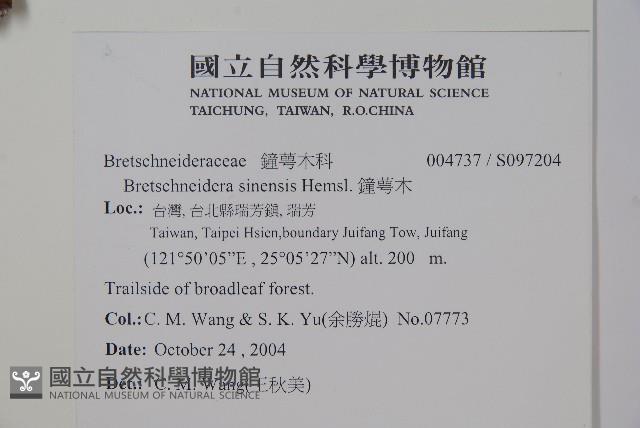 鐘萼木藏品圖，第2張