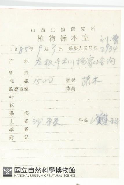 沙棶藏品圖，第2張