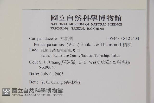 山桔梗藏品圖，第2張