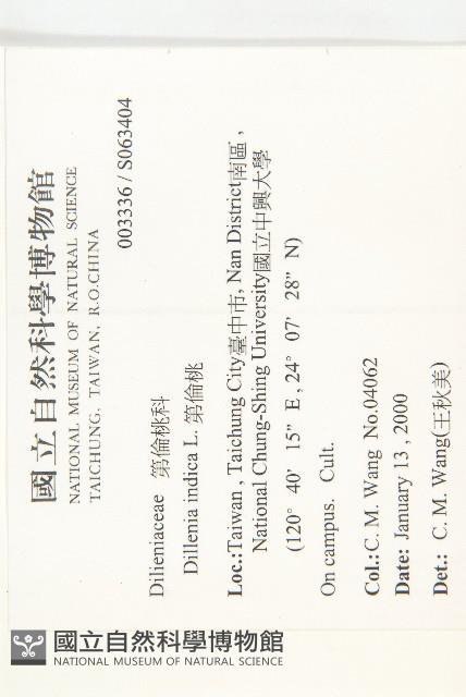 第倫桃藏品圖，第2張