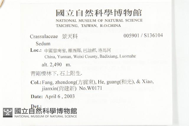 登錄號:S136104藏品圖，第2張