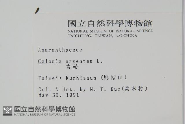 青葙藏品圖，第2張