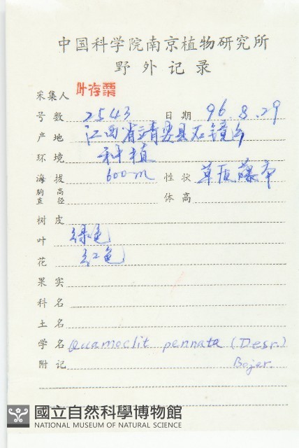 蔦蘿藏品圖，第2張