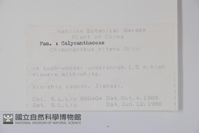 山腊梅藏品圖，第2張