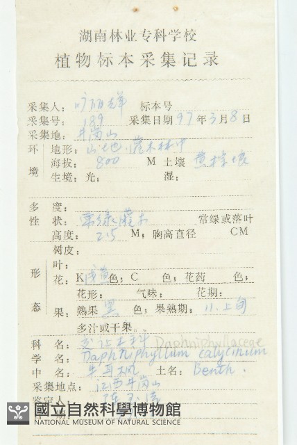 牛耳楓藏品圖，第2張