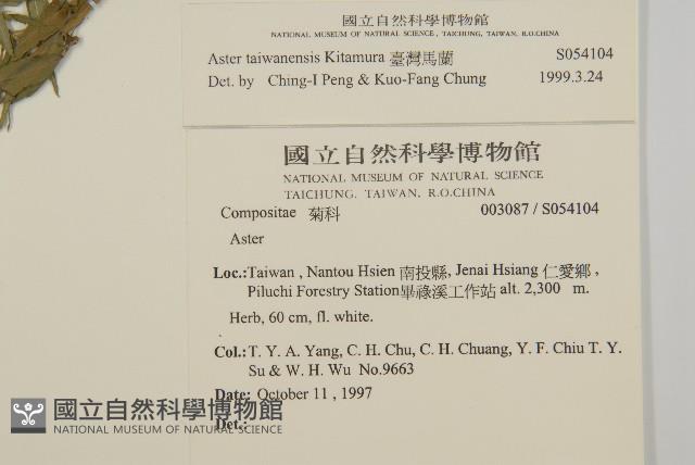 臺灣馬蘭藏品圖，第2張