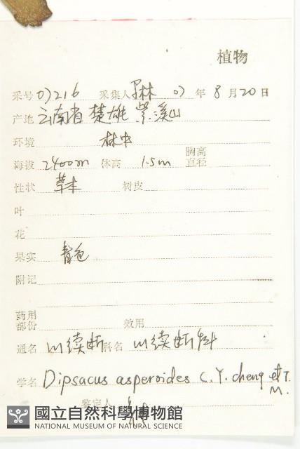 川續斷藏品圖，第2張