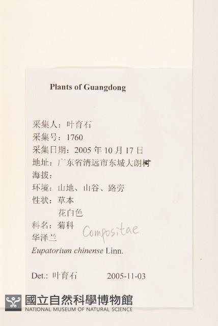 華澤蘭藏品圖，第2張