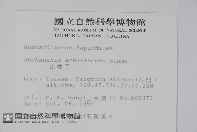 山檨子藏品圖，第2張