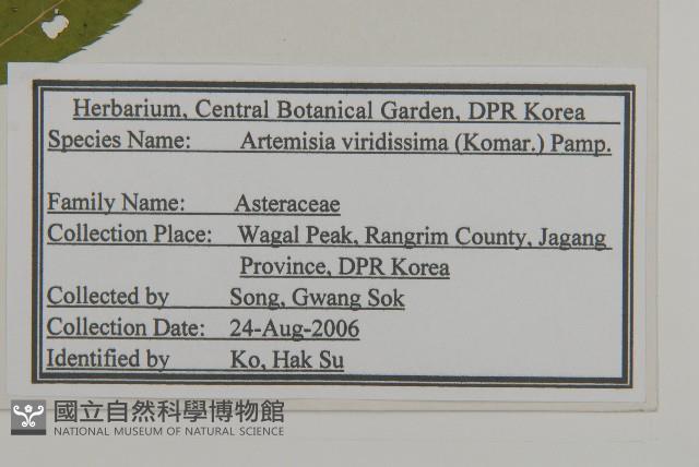 林艾蒿藏品圖，第2張