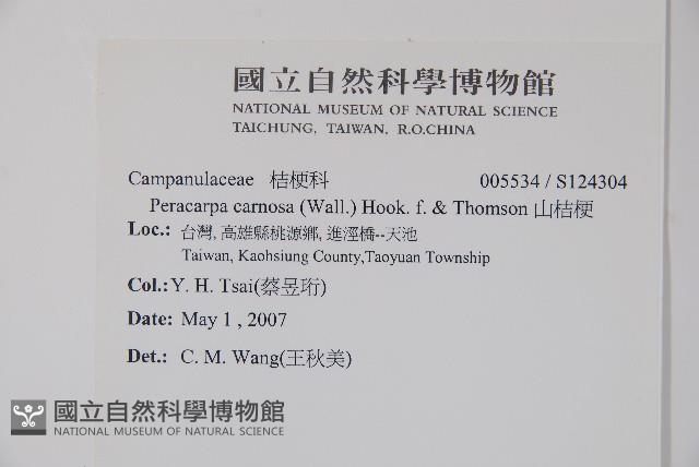 山桔梗藏品圖，第2張