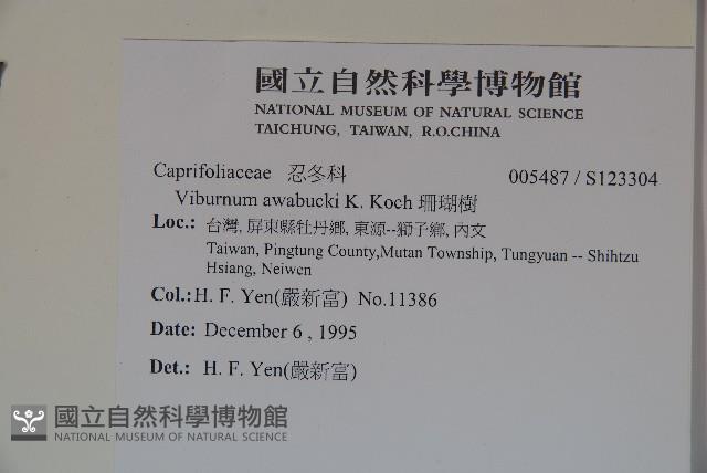 珊瑚樹藏品圖，第2張