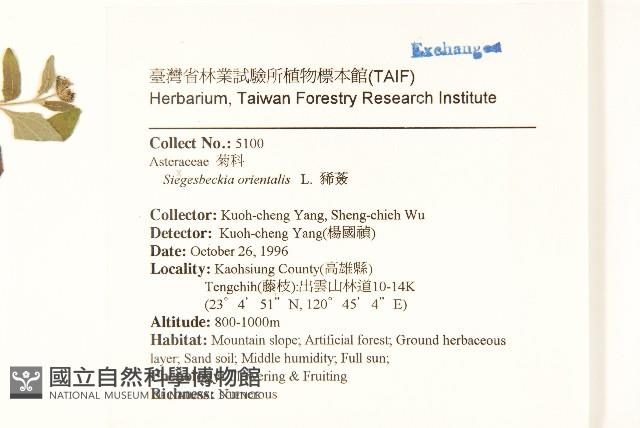 豨薟藏品圖，第2張