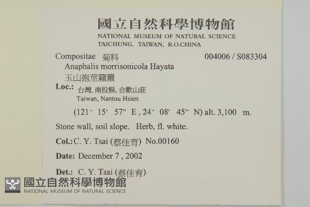 玉山抱莖籟簫藏品圖，第2張