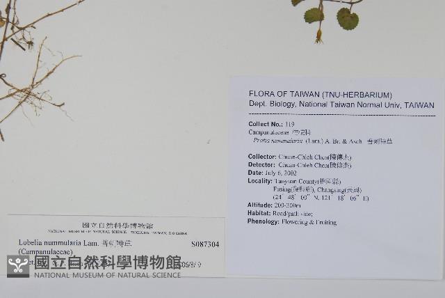 普刺特草藏品圖，第2張