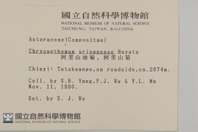 阿里山油菊藏品圖，第2張