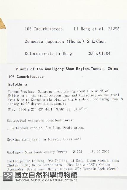 馬交兒藏品圖，第2張