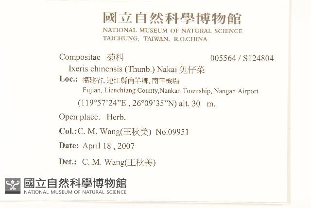 兔仔菜藏品圖，第2張