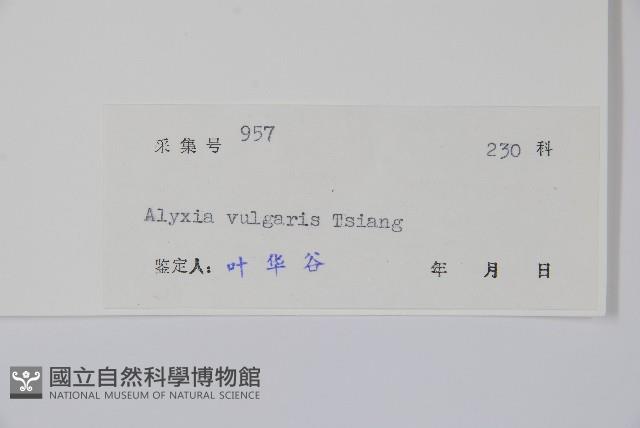 串珠子藏品圖，第2張