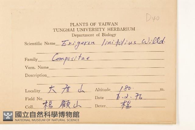 消息草藏品圖，第2張