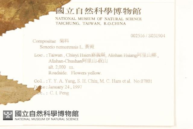 黃菀藏品圖，第2張