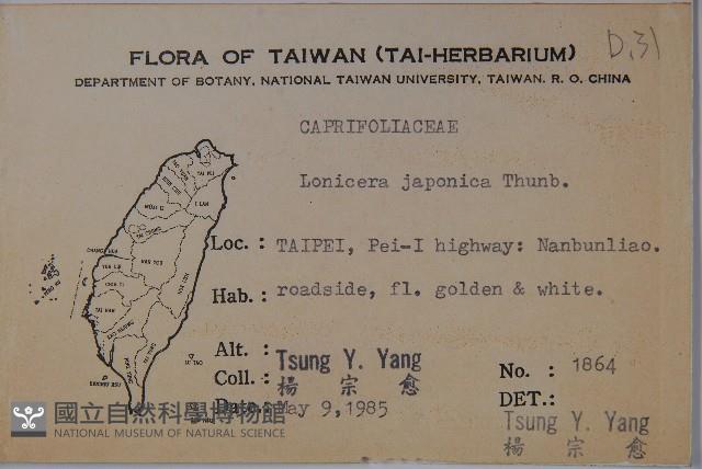 忍冬、金銀花藏品圖，第2張