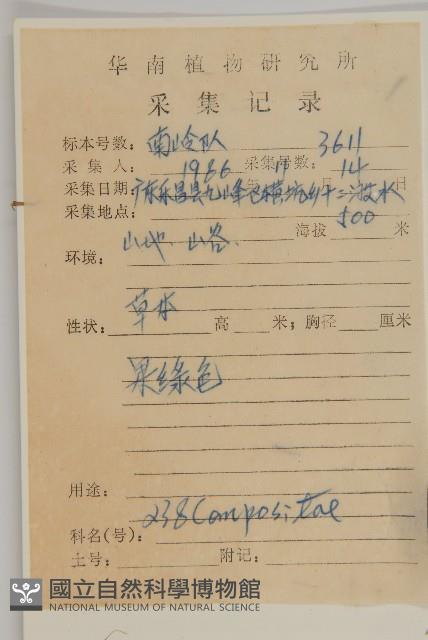 裡白艾納香藏品圖，第2張