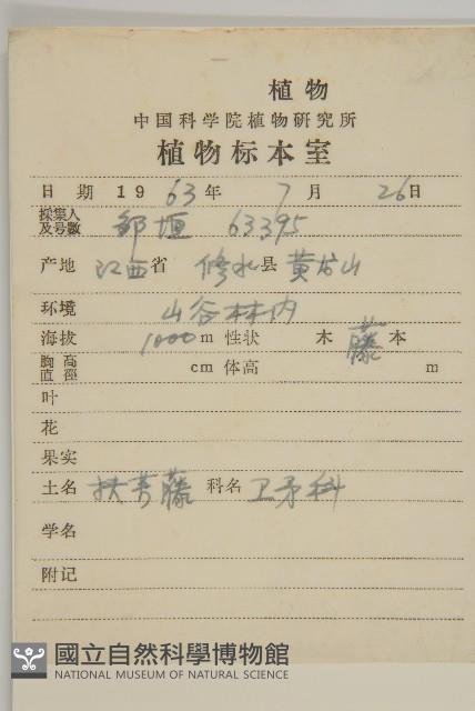 扶芳藤藏品圖，第2張