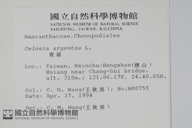 青葙藏品圖，第2張