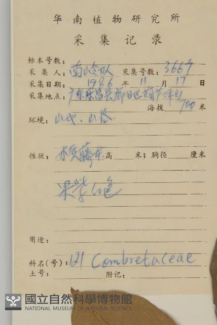 風車子藏品圖，第2張