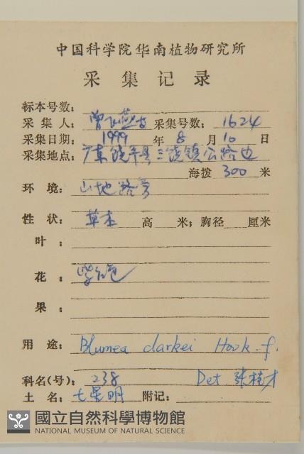 七里明艾納香藏品圖，第2張