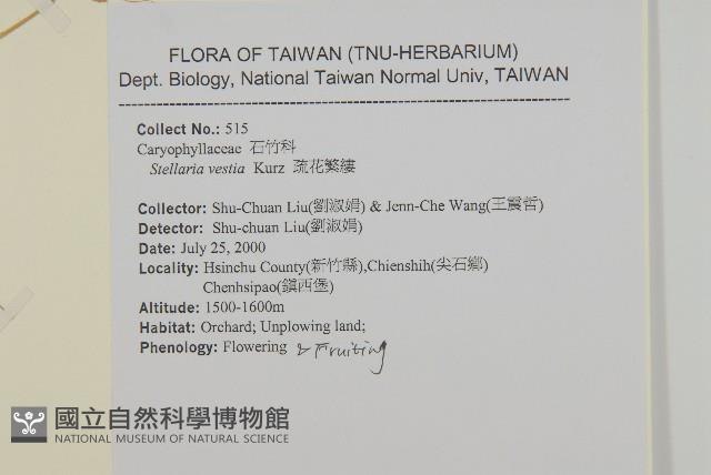 疏花繁縷藏品圖，第2張