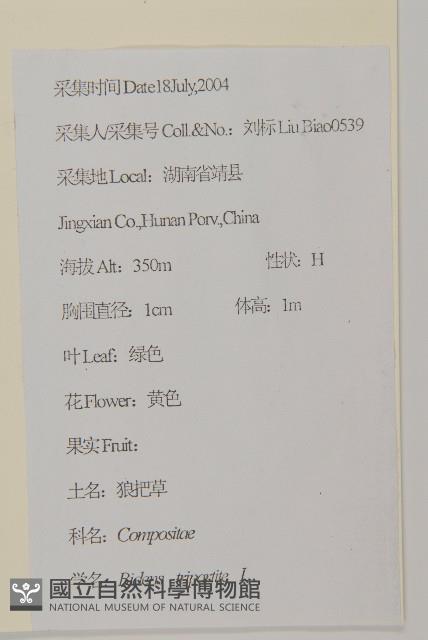 狼把草藏品圖，第2張