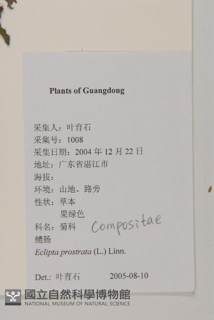 鱧腸藏品圖，第2張